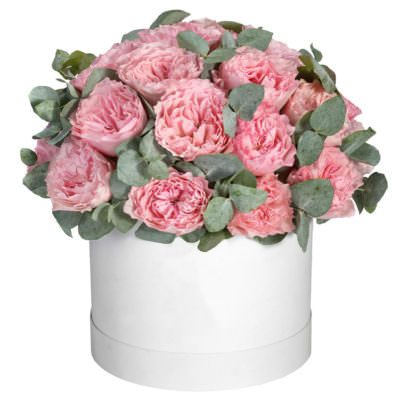 Цветы в коробке «Пионовидные розы»